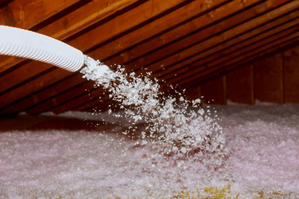 Best Specialty Insulation in Jellico, TN